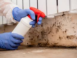 Best Mold Remediation for Healthcare Facilities in Hubbard, OR